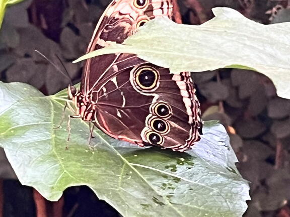 23-09-09 10-58-07 6495